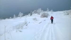 wyprawa na Mogielicę